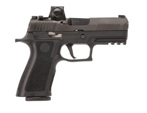 Sig Sauer Off-Duty P320 Carry Pro 40 S&W