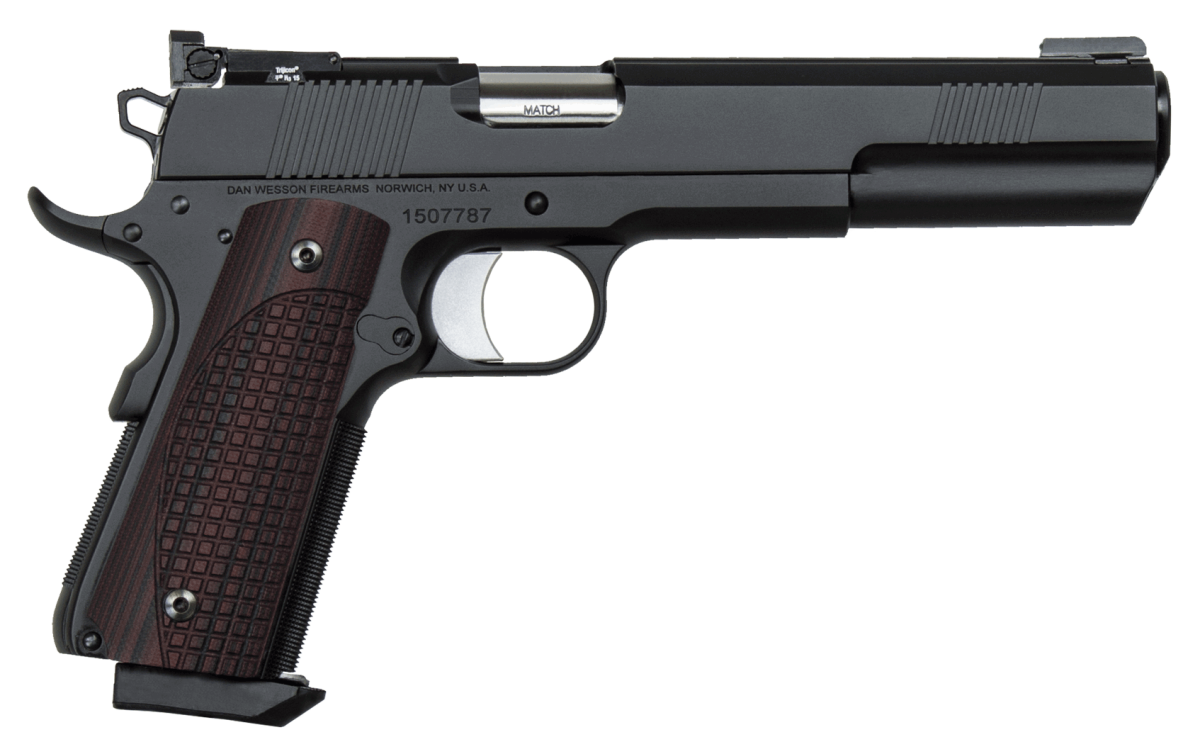 CZ Dan Wesson Bruin 10mm