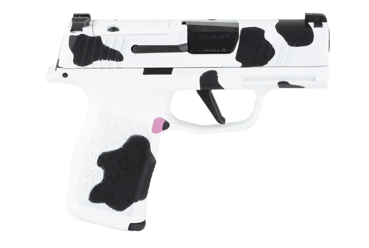 Sig Sauer P365X 9mm
