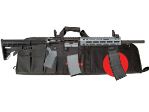 Tippmann Arms M4-22 LTE GREY TS20 w/Soft Gun Bag and Red Dot .22 LR
