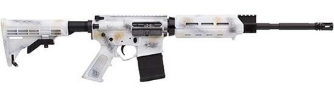 Alex Pro Firearms Econo Carbine 223/5.56