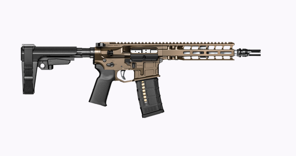 Radian Weapons Model 1 223/5.56