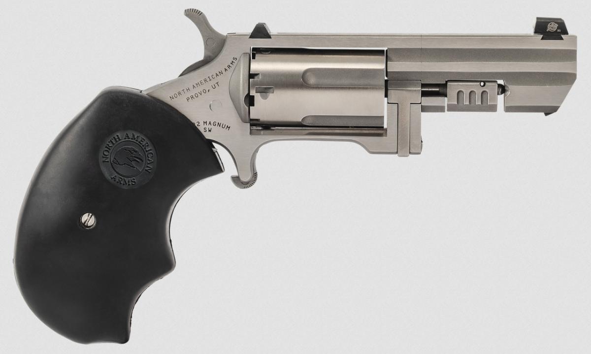 North American Arms Recluse 22 WMR