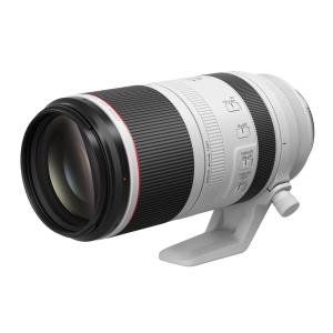 Canon RF 100-500mm f/4.5-7.1L IS USM Lens in White