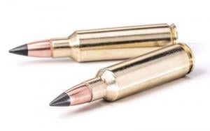Winchester  X65DS Deer Season XP 6.5 Creedmoor 125 GR Extreme Point 20 Rounds