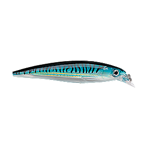 Rapala Saltwater X-Rap - Blue