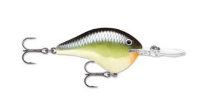 Rapala DT Series DT06 Crankbait Green - Frsh Water Hard Baits at Academy Sports