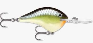 Rapala DT Series DT10 Crankbait Green - Frsh Water Hard Baits at Academy Sports