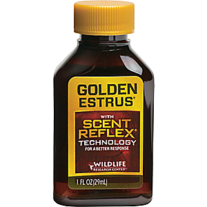 Wildlife Research Center Golden Estrus with Scent Reflex Technology 1 fl oz Attractant - Game Scents And Attracts at Academy Sports