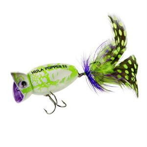Arbogast G761-536 Hula Popper