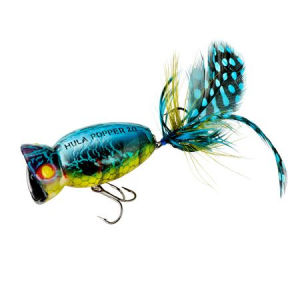 Arbogast G761-537 Hula Popper