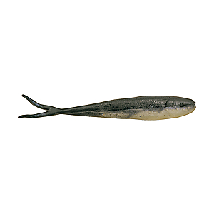 Berkley 1107167 Gulp! Minnow Soft Bait 3" Length, Pearl Silver, Per 12