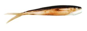 Berkley Gulp Baitfish 3in 10Pk, Smelt, GSBF3-SMLT