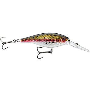 Berkley 1237224 Flicker Shad Hard Bait 2 3/4" Length, 11'13' Swimming Depth, 2 Hooks, Racy Shad, Per 1
