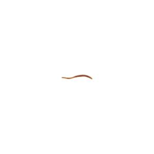 Berkley PowerBait Power Floating Trout Worm, 15, 3in, Pumpkinseed, PBHFTW3-PS