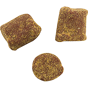 Berkley PowerBait Catfish Bait Chunks - Fish Attract/Bait And Accessories at Academy Sports