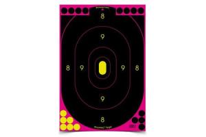 BIRCHWOOD CASEY Shoot-N-C 12x18 Pink Target