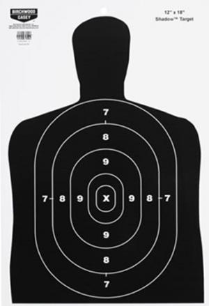 Birchwood Casey EZE-SCORE BC27 12X18 TRGT 100/CS