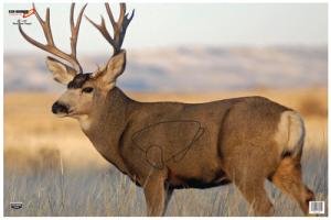 BWC 37482 EZE Scorer 23x35 Mule Deer