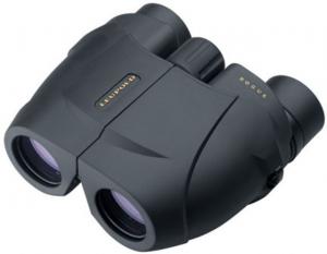 Leupold BX-1 Rogue 8x25 mm Porro Prism Compact Binocular, Black, 59220