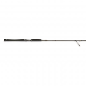 PENN Carnage III Inshore Spinning Rods