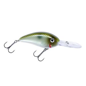 Bomber scharlso 453098