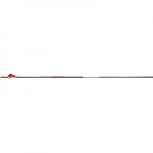 Bloodsport Evidence 300 Spine 6 Pack Red