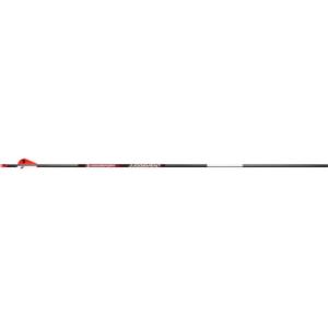BloodSport Judgement Arrows 300 2 in Vanes 6 pk BLS-PSB130106