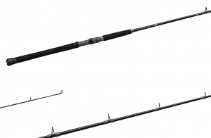 Daiwa Aird Coastal Inshore Series Saltwater Fishing Rod