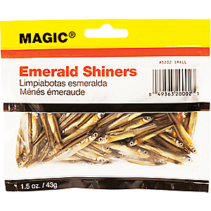 Magic Small Preserved Shiners - Brown