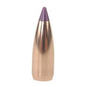 Nosler Ammunition 24055 Balistic VAR 6MM 55 SPTZR 100