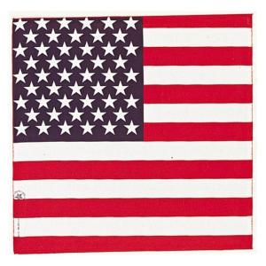 Carolina Manufacturing American Flag 000114