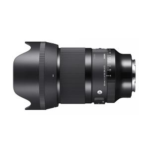 Sigma 50mm F1.4 DG DN Art Camera Lens Compatible with Sony E Mount, High-Response Linear Actuator in Black