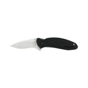 Kershaw Knives Scallion Assisted Folding Knife, 2.25" Drop-point Plain Blade (Black Handle) - 1620X