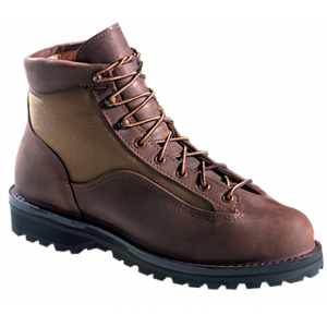 Men's Danner Light II GORE - TEX Boots Brown