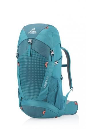 Gregory Icarus 30 Youth Backpack, Capri Green, One Size, 111472-7417