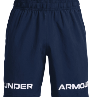 Under Armour UA Woven Graphic Wordmark Shorts 1361433-408-SM