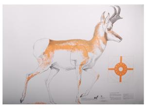 NRA Official Lifesize Game Target Paper - 720372
