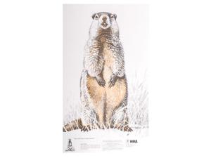 NRA Official Lifesize Game Target Paper - 739080