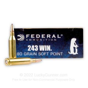 243 - 80 gr SP - Federal Power-Shok - 200 Rounds