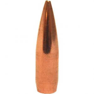 30 Caliber .308 Diameter 168 G