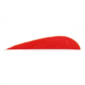 Trueflight Parabolic Feathers, Red 3 in. LW 100 pk., 1203