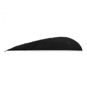 Trueflight Parabolic Feathers, Black 3 in. LW 100 pk., 1208