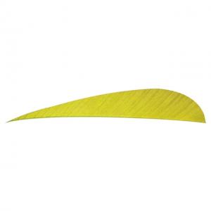 Trueflight Parabolic Feathers, Yellow 4 in. RW 100 pk., 11504