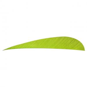 Trueflight Parabolic Feathers, Chartreuse 4 in. RW 100 pk., 11513