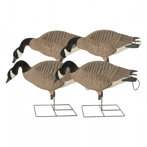 Avery GHG Pro-Grade XD Series Canada Goose Full Body Feeder Decoys 4 Pack