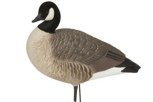 BANDED HS Canada Goose Decoys - Harvesters 6 Pack