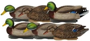 Avery Outdoors PG XD Series Mallards-Feeder Pack, 1/2 dozen, 76107