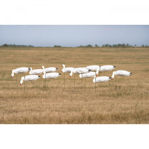 Avery GHG Pro Grade Snow Goose Sock Decoys with Heads 12 Pack