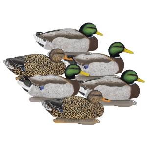 Higdon Legacy Magnum Mallard 6/ct HG17001